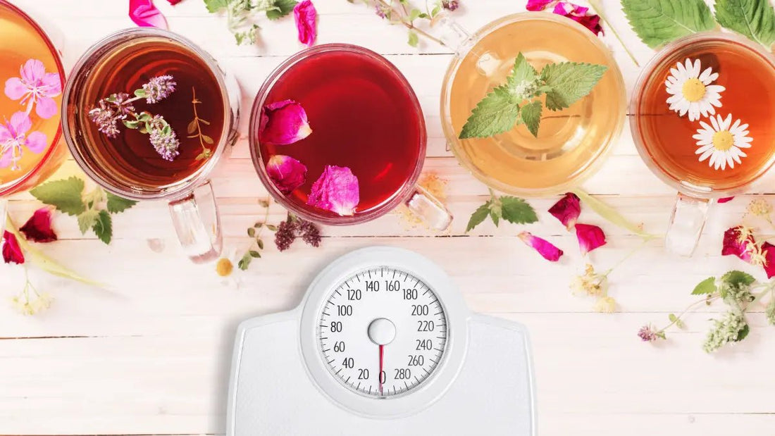 Quel est le meilleur thé pour maigrir ? (Matcha, Oolong...) - Matcha&Vous