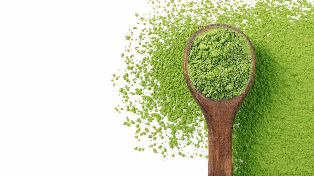 Quelle quantité de thé matcha par jour ? - Matcha&Vous